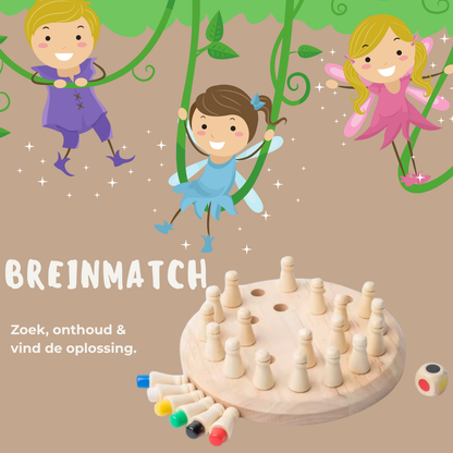 BreinMatch I Kleuren & Geheugen