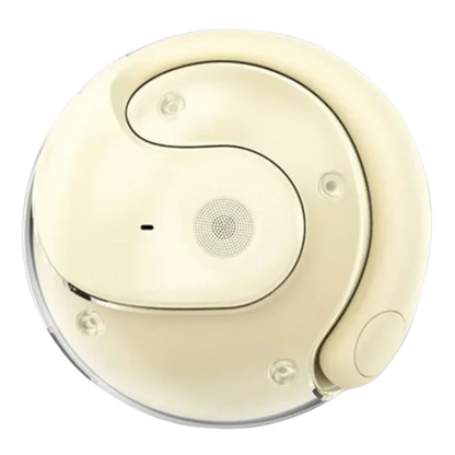 Sayz | Draadloze Bluetooth Oortjes met Live Vertaling